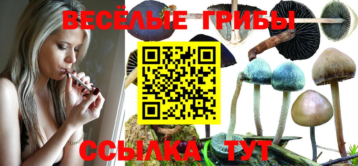 Псилоцибиновые грибы Magic Shrooms  Вход с VPN  Солнечногорск 