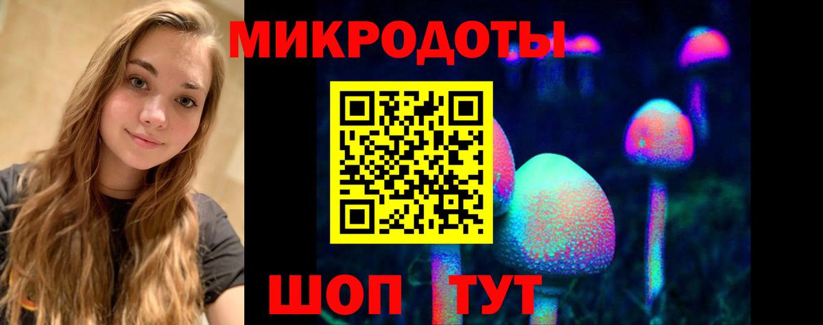 Псилоцибиновые грибы мухоморы Солнечногорск